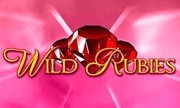 logo wild-rubies