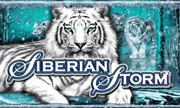 logo siberian-storm