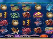 Dolphin Quest (Microgaming)