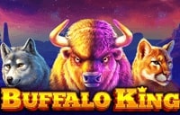logo buffalo-king