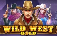 logo wild west gold