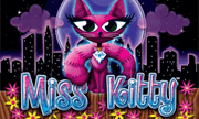Miss Kitty