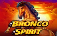 Bronco Spirit